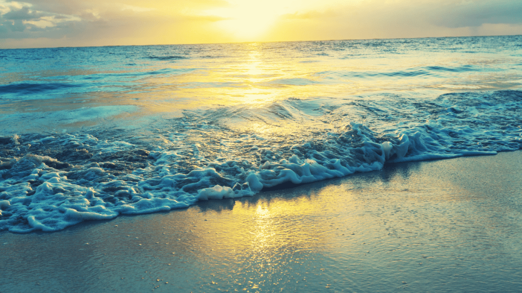 Welcome to Habitats Living: Curated by&nbsp;Kat